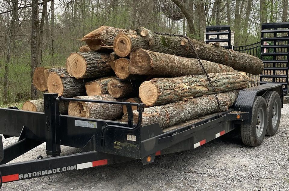 Tree Removal